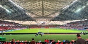 九游娱乐-伯纳乌同款！苏超南通主场“南鸟巢”将首次关闭顶棚，为国内首例