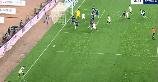 1744724040745033340.gif 塞鸟.gif